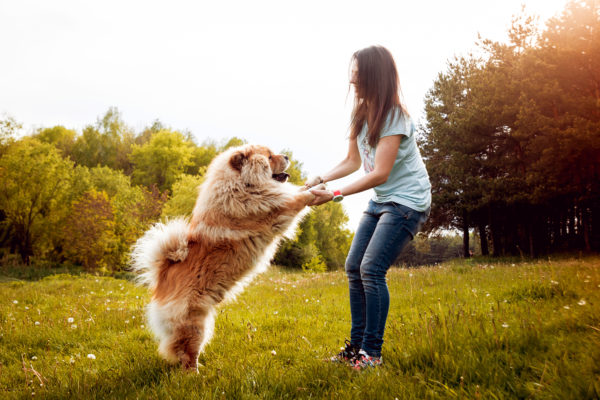 Young woman with the dogs in the park.